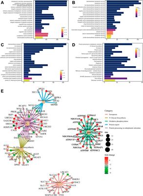 Effects of dehydroabietic acid on nontarget lipidomics and proteomics of HepG2